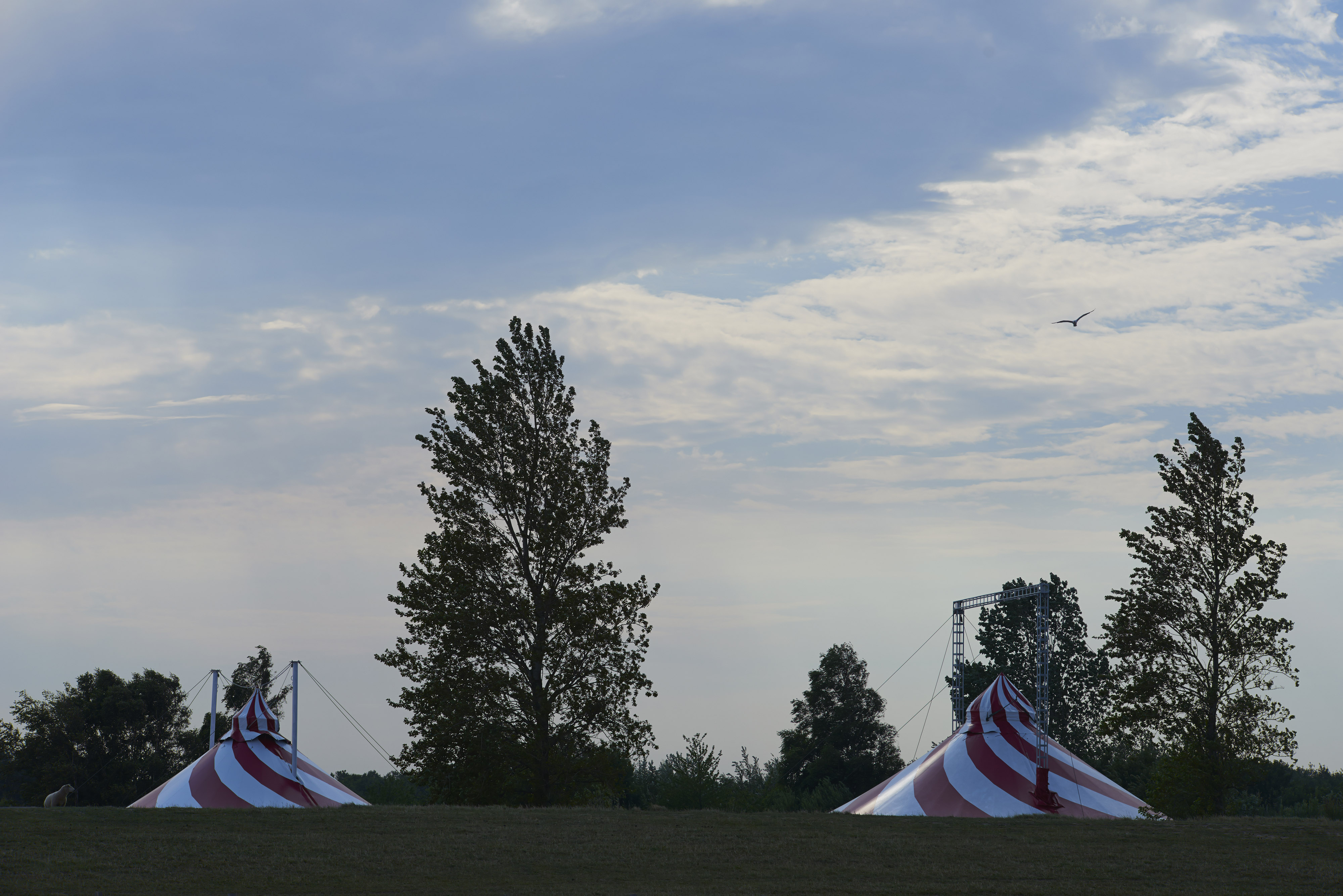 0003_DSC9364_2014_07_25.jpg