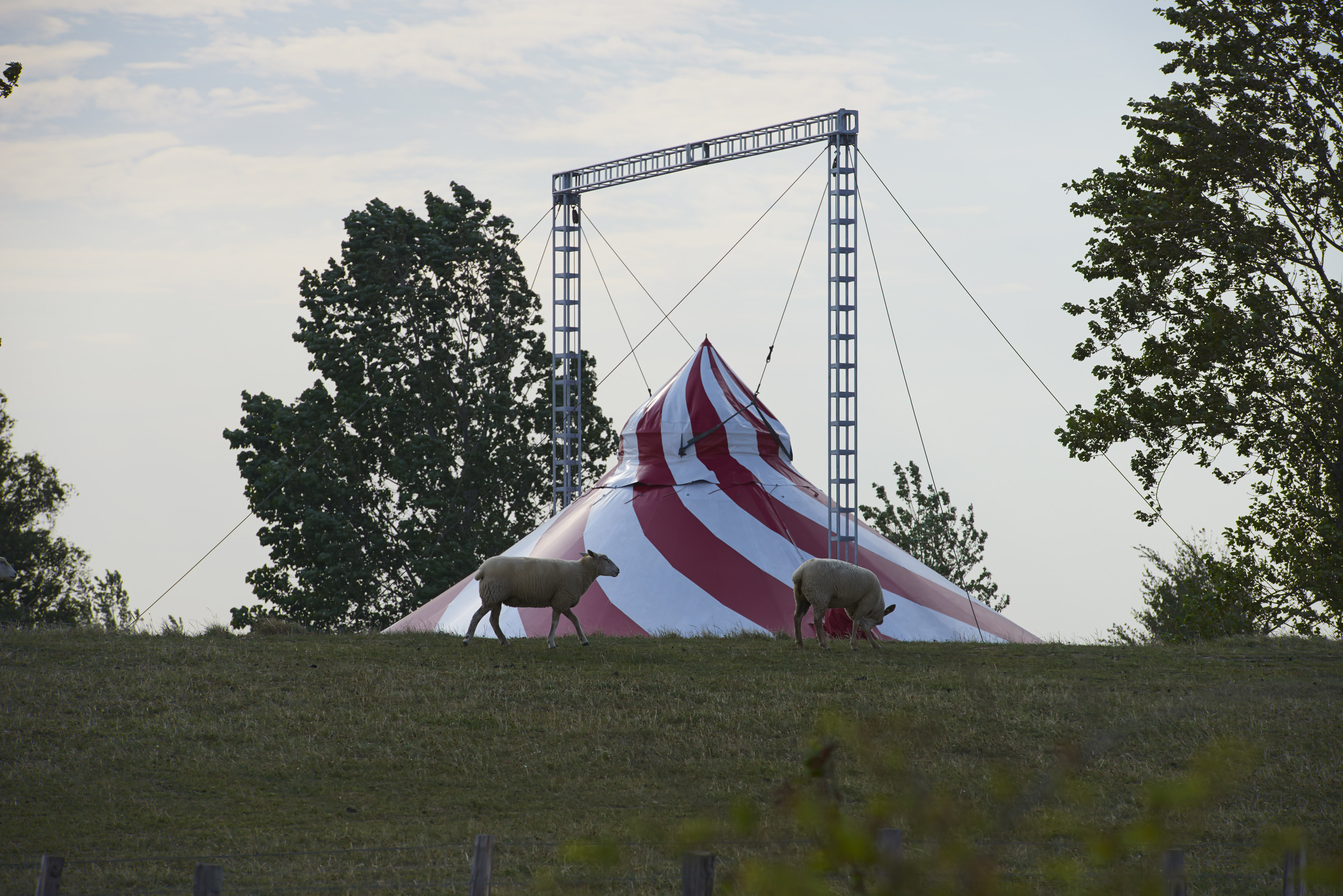 0004_DSC9365_2014_07_25.jpg